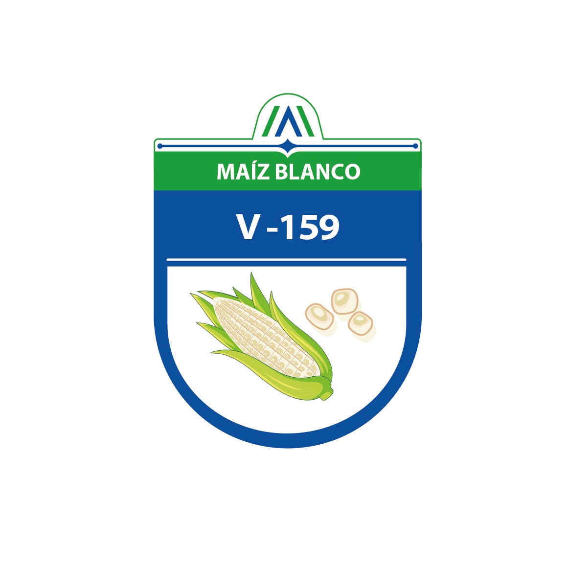 Maíz de grano blanco AGROSAVIA V-159