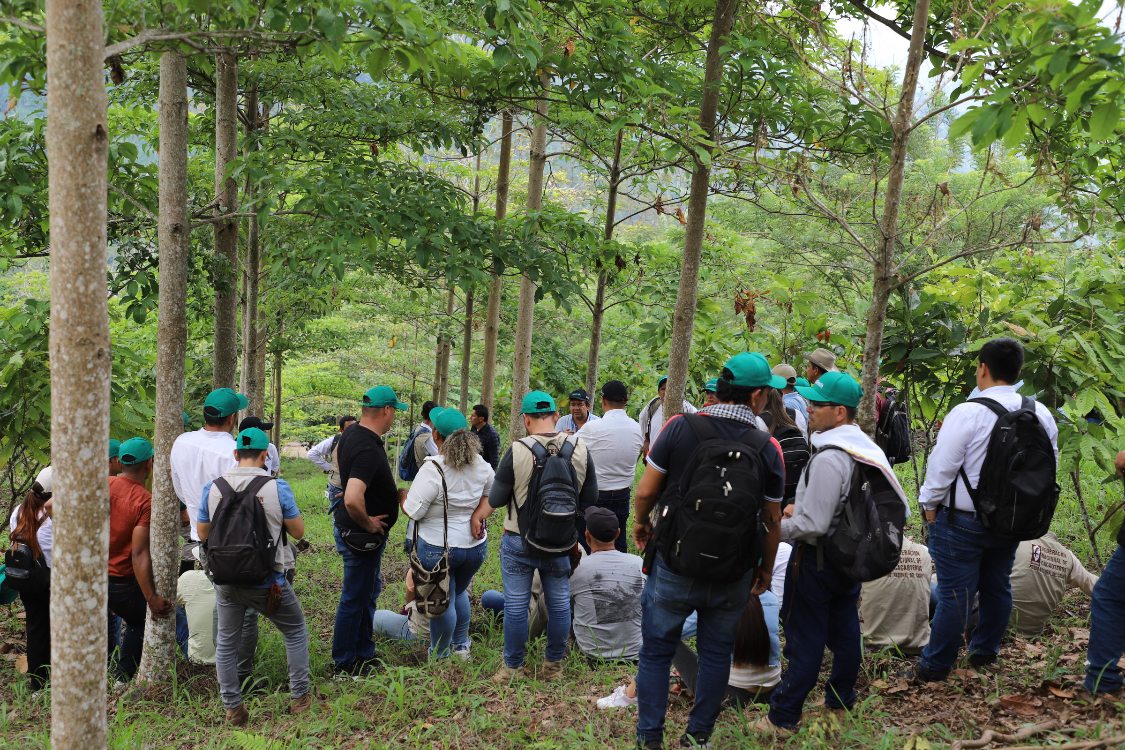 Jornadas Cambio Climático5 AGROSAVIA